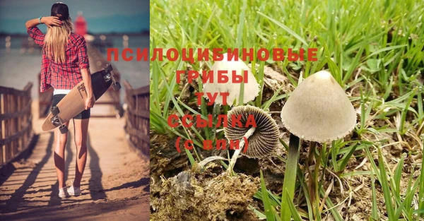бошки Белоозёрский
