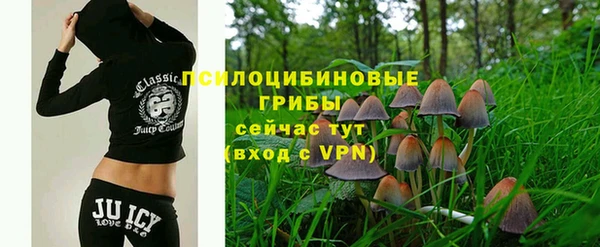 бошки Белоозёрский