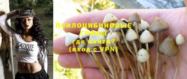 бошки Белоозёрский