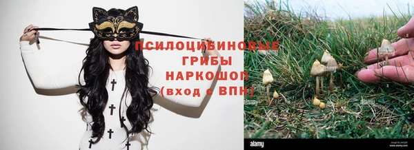 бошки Белоозёрский
