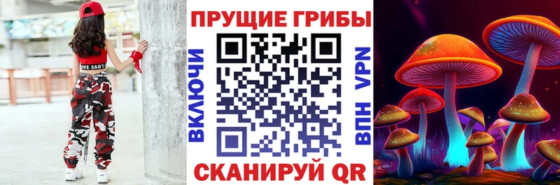 Галлюциногенные грибы мицелий  Красный Холм 